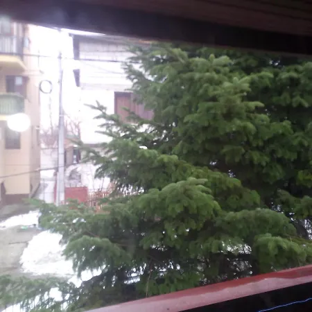 Vila Travel Homestay Bucharest