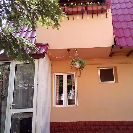 Homestay Vila Travel *