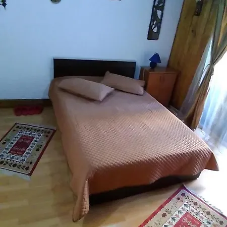 Homestay Vila Travel Bucharest
