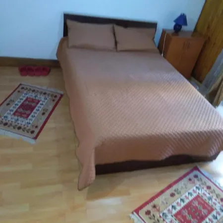 Vila Travel Homestay